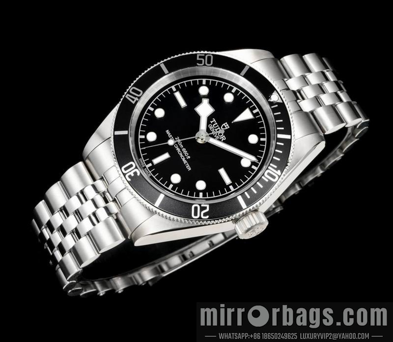 Tudor 41mm 022113 Watch