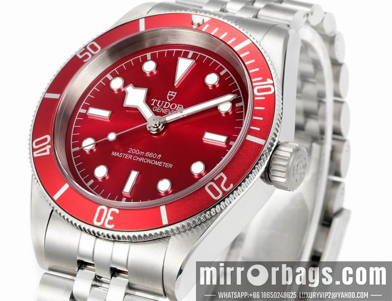Tudor 41mm 080415 Watch