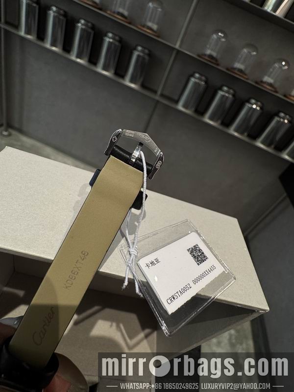 Cartier M27X37mm S22X30mm 1015100 Watch