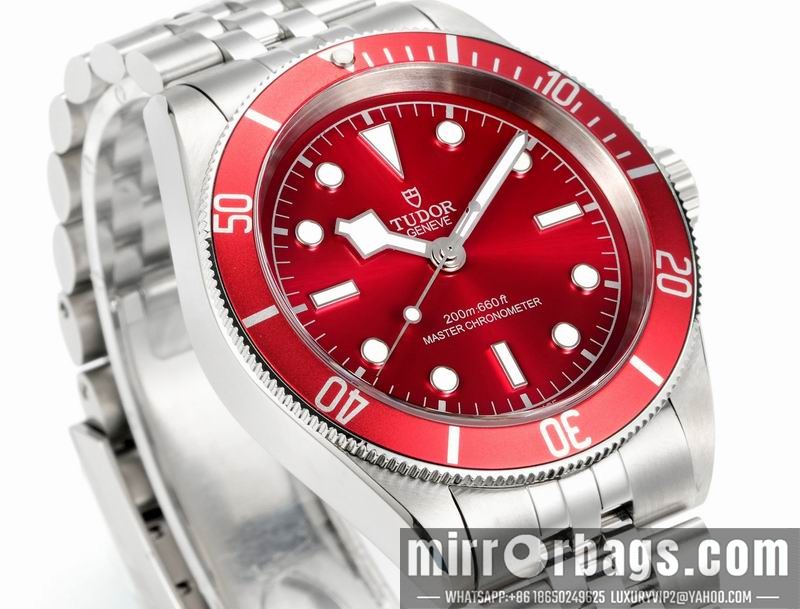 Tudor 41mm 080415 Watch