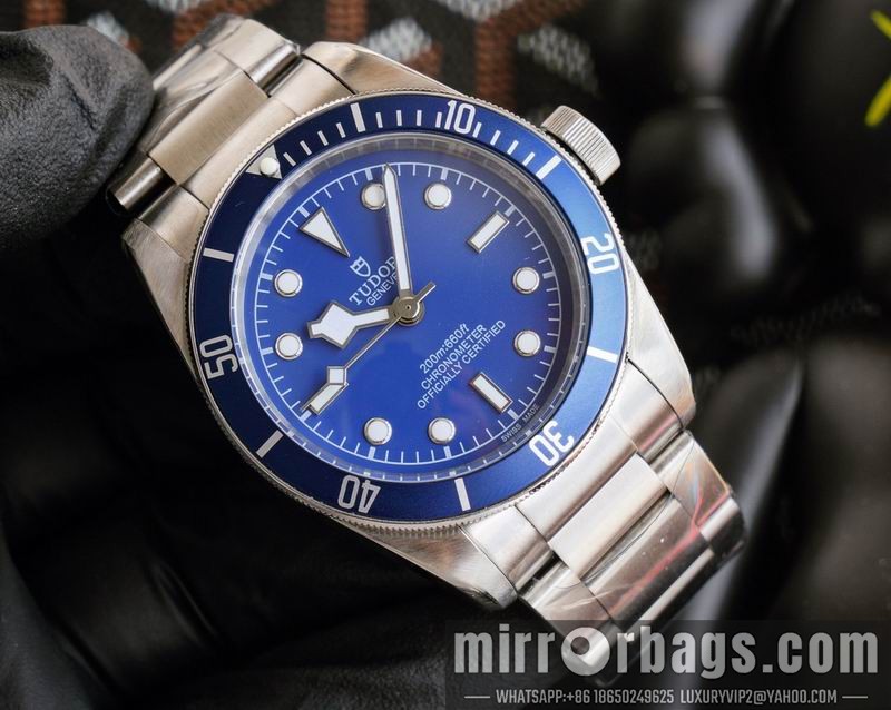 Tudor 42mm 050725 Watch