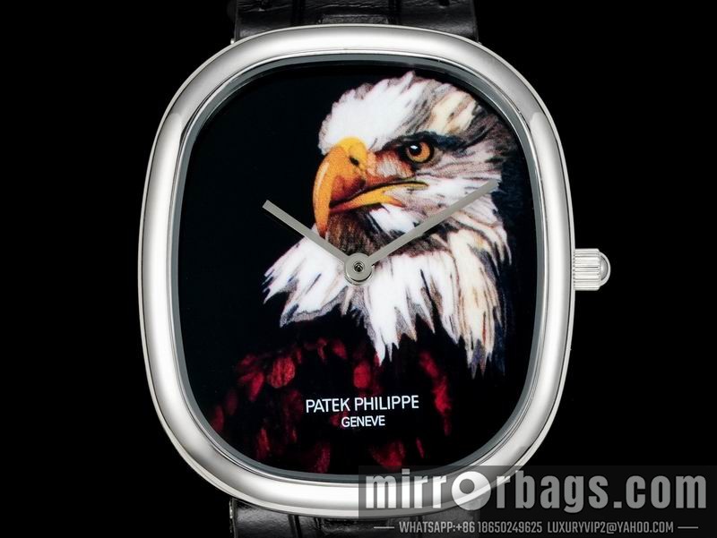 Patek Philippe watch 062206 Watch
