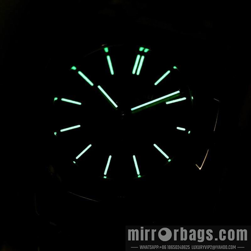 AP 41mm 082208 Watch