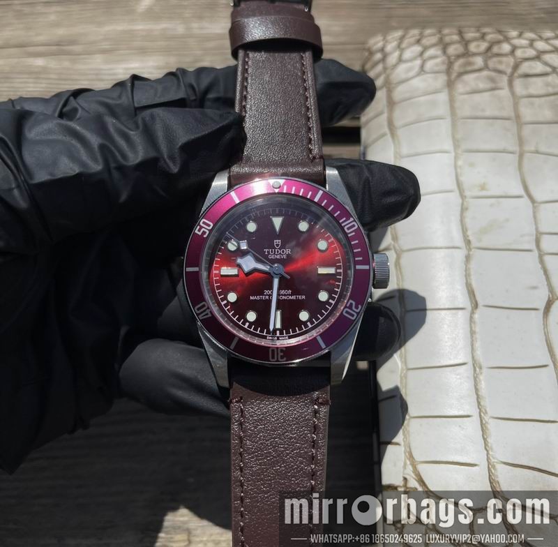 Tudor 42mm 122810 Watch
