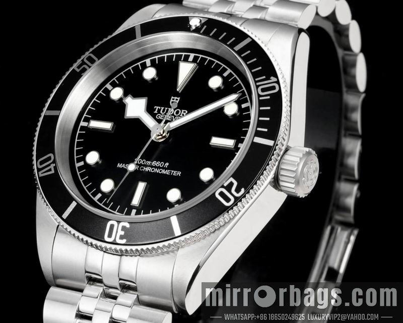 Tudor 41mm 022113 Watch