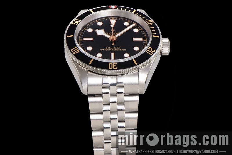 Tudor 41mm 080415 Watch