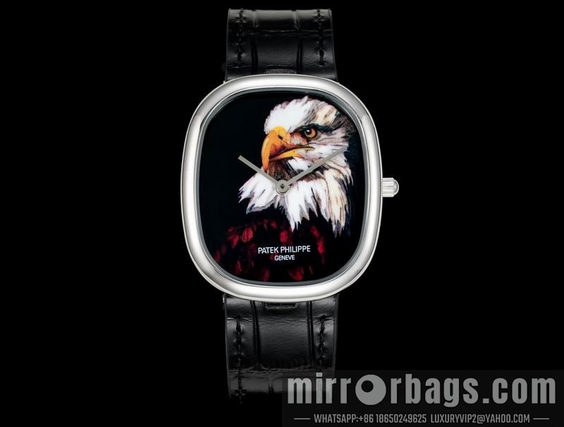 Patek Philippe watch 062206 Watch