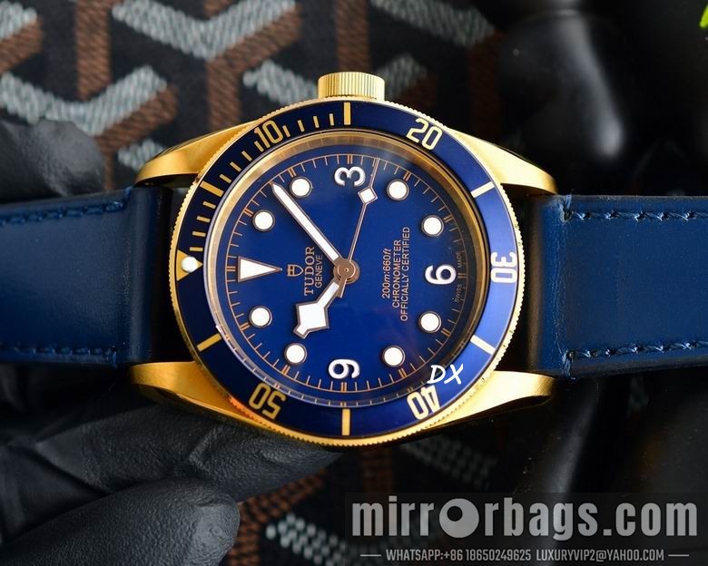 Tudor 42mm 10nms67 Watch