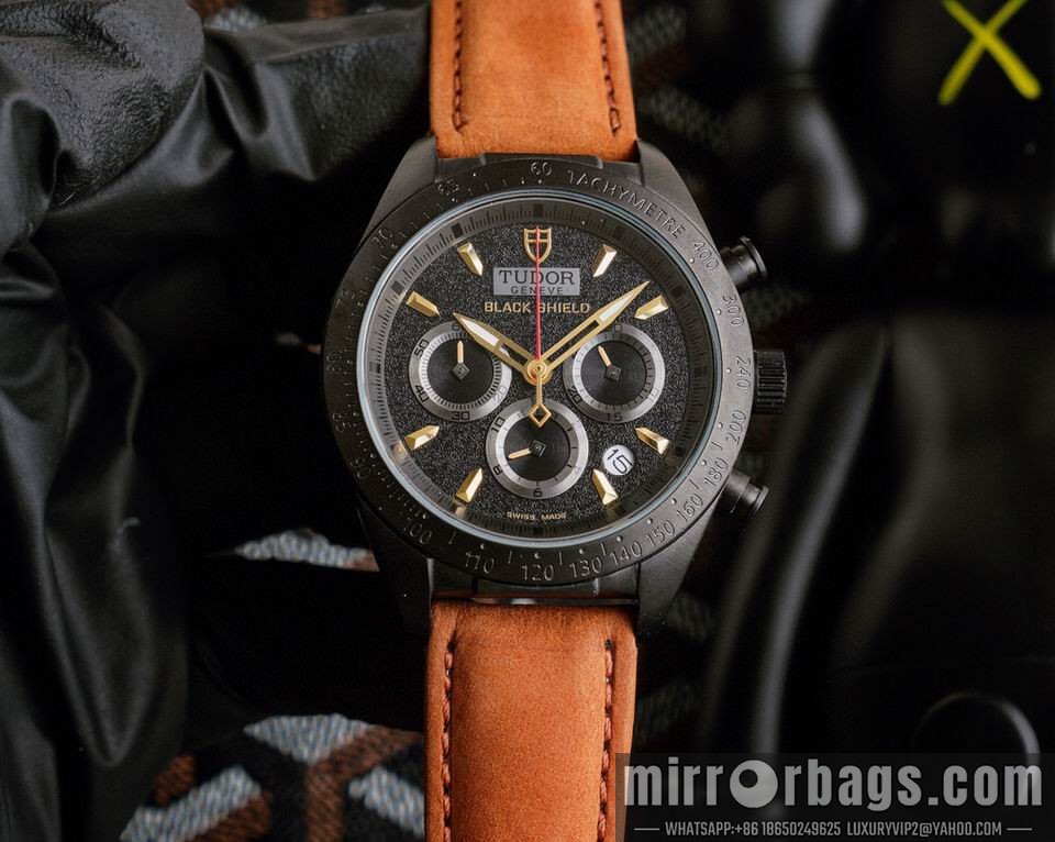 Tudor watch 111001 Watch