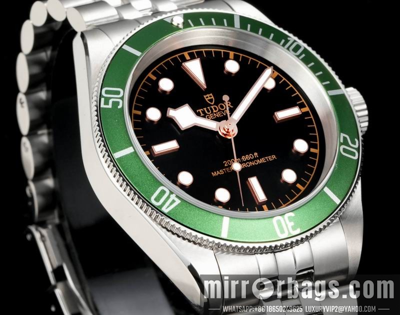Tudor 41mm 022113 Watch